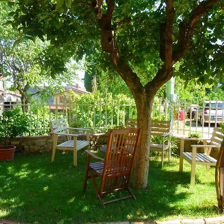 Limoncino Lucignano
